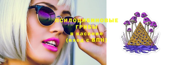 прущий лед Алексин