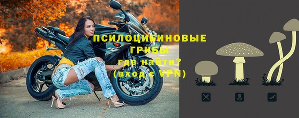 прущий лед Алексин