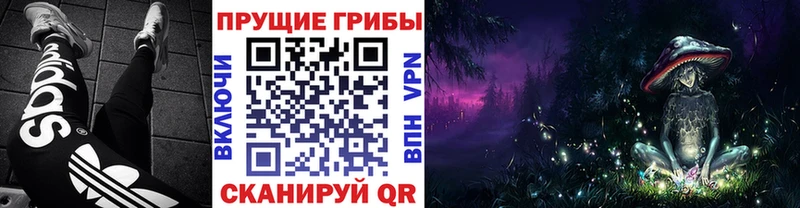 Галлюциногенные грибы Psilocybe  Томск 